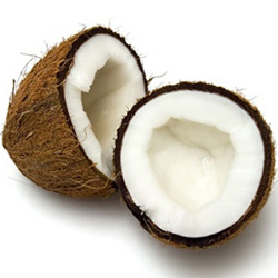 cocco