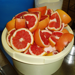 pompelmo